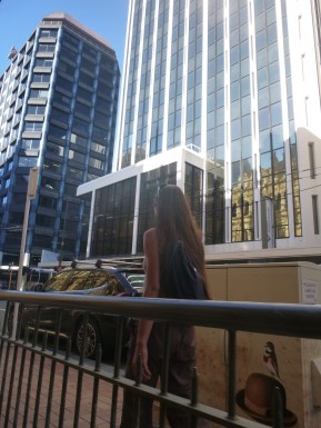 36. Bref retour Wellington4