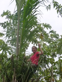 15-cest-lu-qui-se-chargera-de-couper-des-branches