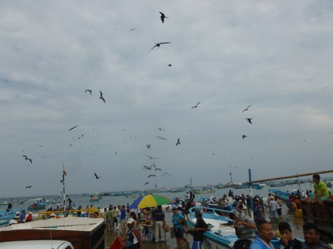 38. Vente à la criée de la pêche de la nuit