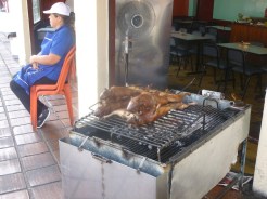 49. Nous sommes enfin témoins de nos premiers cochons d'Inde grillés...